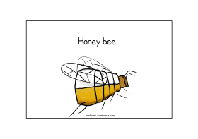 Honney bee