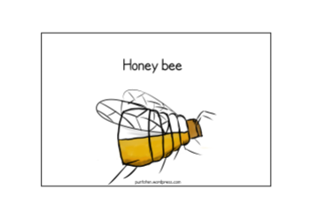 Honney bee