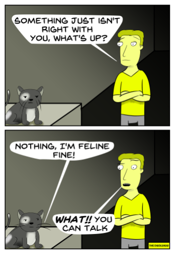 cat-problems